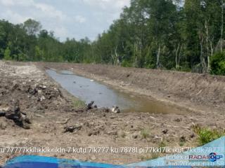 Pengusaha Tambak Udang di Desa Penampi Rusak Hutan Mangrove